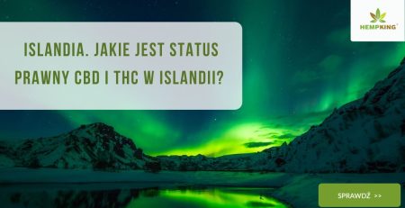 Islandia. Jakie jest status prawny CBD i THC w Islandii - obrazek wyróżniający