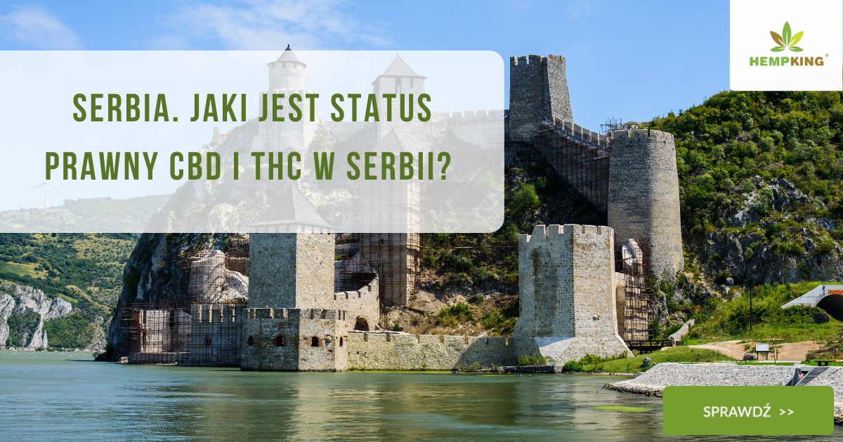 Jakie jest status prawny CBD i THC w SERBII - obrazek wyróżniający