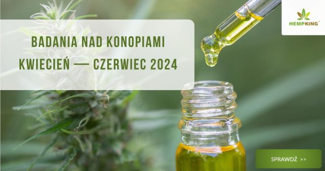 Badania nad konopiami kwiecień - czerwiec 2024 - obrazek wyróżniający