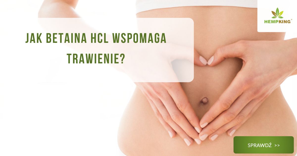 Jak betaina HCL wspomaga trawienie? - obrazek wyróżniający