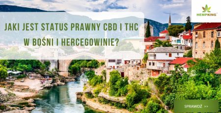 Jaki jest status prawny CBD i THC w Bośni i Hercegowinie? - obrazek wyróżniający