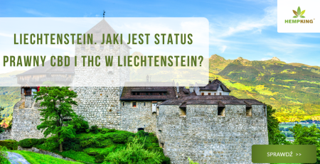 Jakie jest status prawny CBD i THC w Liechtenstein - obrazek wyróżniający
