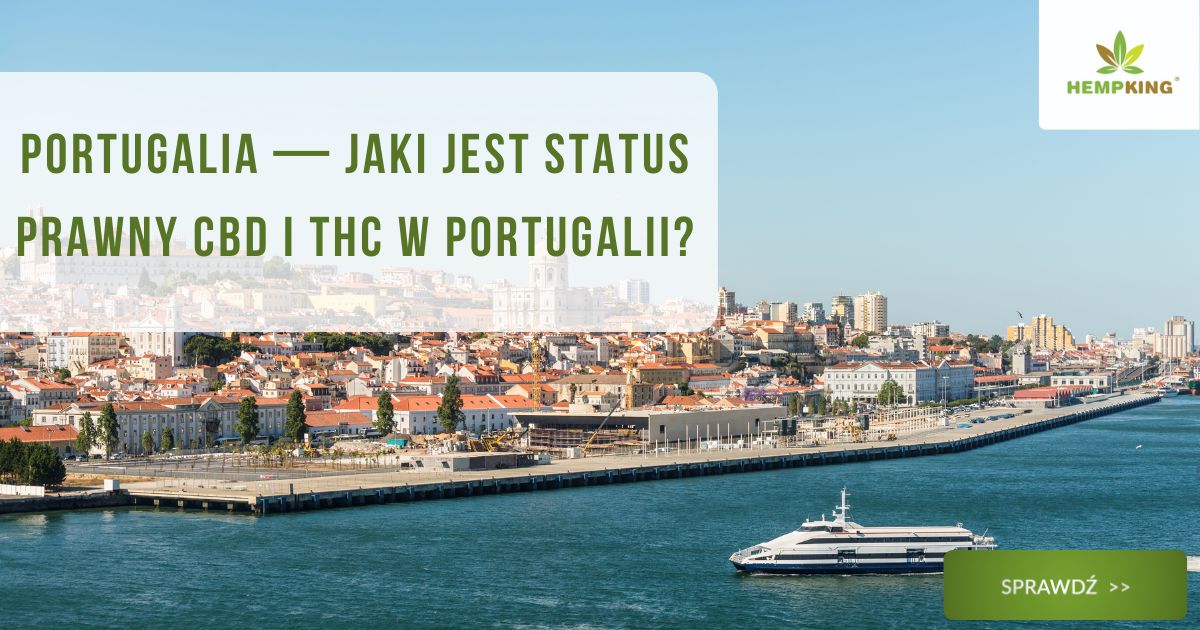 Portugalia - jaki jest status prawny CBD i THC w Portugalii - obrazek wyróżniający