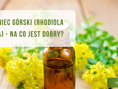 Różeniec górski (rhodiola rosea) na co jest dobry? - obrazek wyróżniający