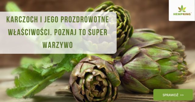 Karczoch i jego prozdrowotne właściwości. Poznaj to super warzywo - obrazek wyróżniający