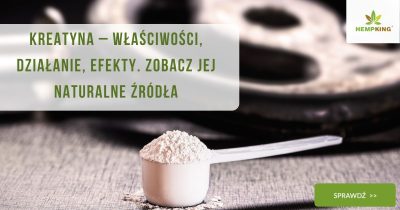 Kreatyna – właściwości, działanie, efekty. Zobacz jej naturalne źródła. - obrazek wyróżniający