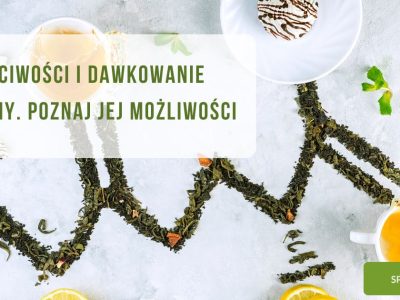 Właściwości i dawkowanie L-Teaniny. Poznaj jej możliwości - zdjęcie wyróżniające