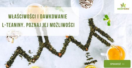 Właściwości i dawkowanie L-Teaniny. Poznaj jej możliwości - zdjęcie wyróżniające