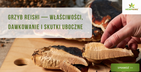 Grzyb reishi (lakownica żółtawa) właściwości lecznicze, dawkowanie i skutki uboczne - obrazek wyróżnijący