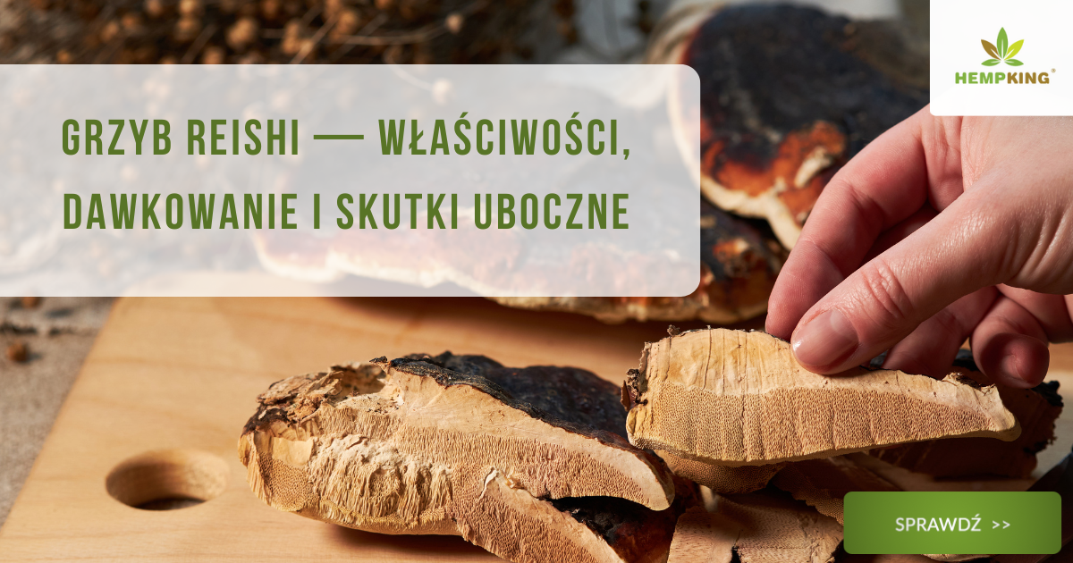 Grzyb reishi (lakownica żółtawa) właściwości lecznicze, dawkowanie i skutki uboczne - obrazek wyróżnijący