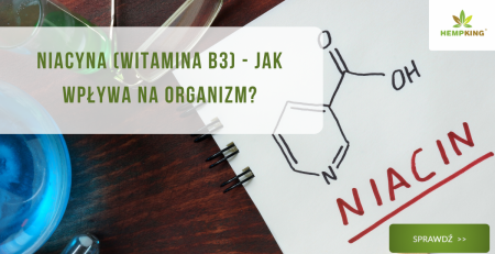 Niacyna (witamina B3) - jak wpływa na organizm? - obrazek wyróżniający