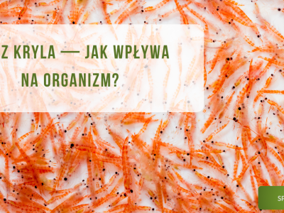 Olej z kryla - jak wpływa na organizm? - obrazek wyróżniający