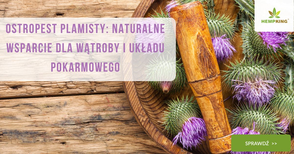 Ostropest Plamisty Naturalne wsparcie dla wątroby i układu pokarmowego - obrazek wyróżniający