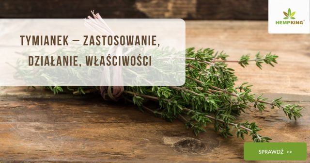 Tymianek – zastosowanie, działanie, właściwości - obrazek wyróżniający