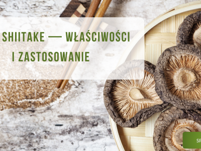 Grzyby shiitake - właściwości i zastosowanie - obrazek wyróżniający