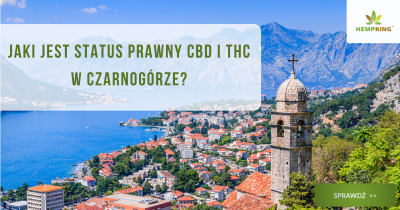 Jaki jest status prawny CBD i THC w Czarnogórze? - obrazek wyróżniający