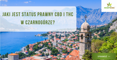 Jaki jest status prawny CBD i THC w Czarnogórze? - obrazek wyróżniający