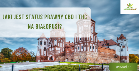 Jaki jest status prawny CBD i THC na Białorusi? - obrazek wyróżniający