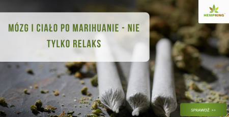 Mózg i ciało po marihuanie - nie tylko relaks - obrazek wyróżniający