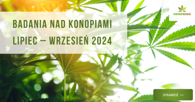 Badania nad konopiami lipiec - wrzesień 2024 - obrazek wyróżniający