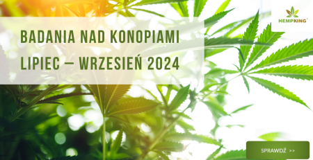 Badania nad konopiami lipiec - wrzesień 2024 - obrazek wyróżniający