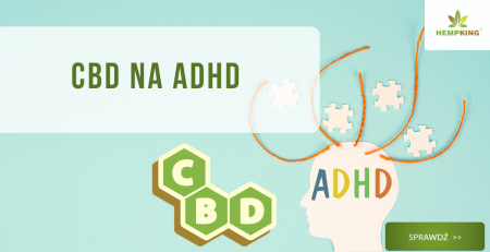 CBD na ADHD - obrazek wyróżniający