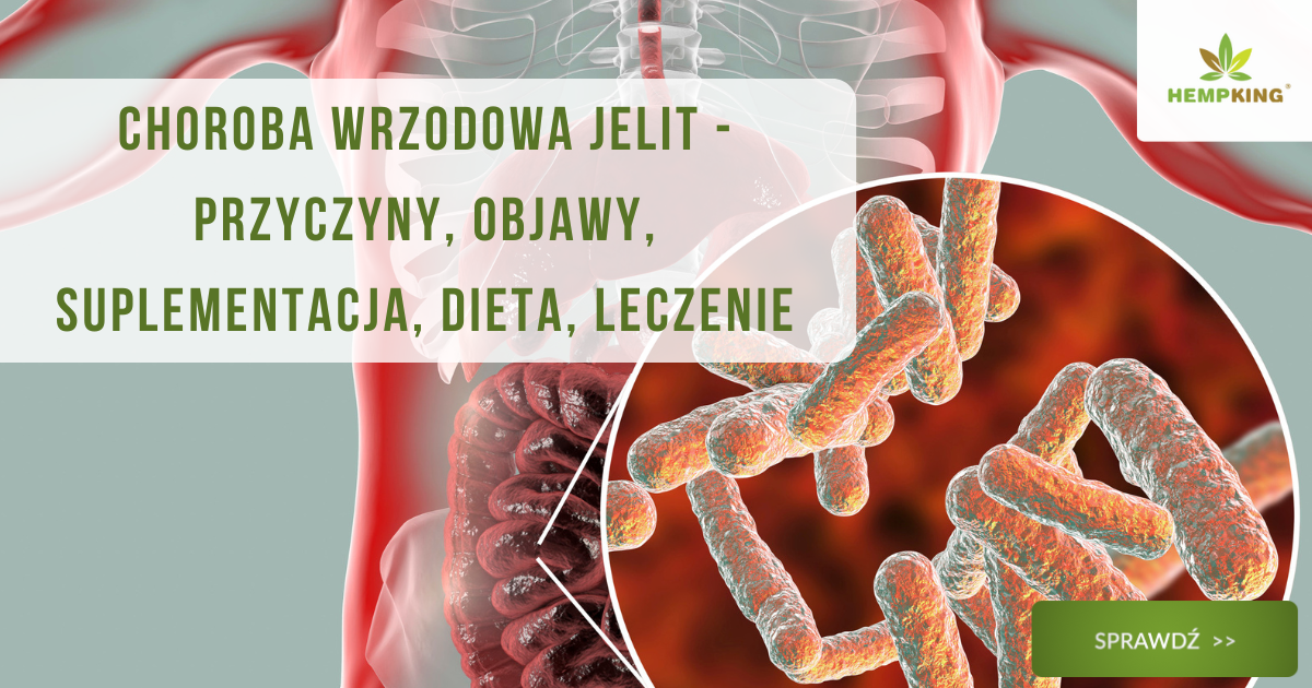 Choroba wrzodowa jelit - przyczyny, objawy, suplementacja, dieta, leczenie - obrazek wyróżniający