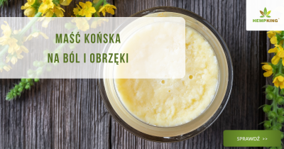 Maść końska na ból i obrzęki - obrazek wyróżniający