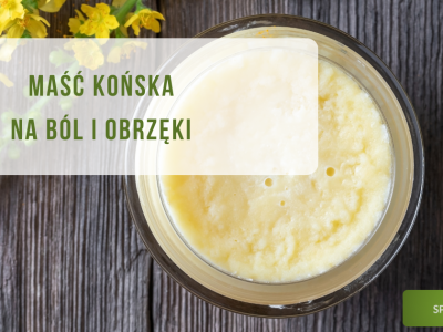 Maść końska na ból i obrzęki - obrazek wyróżniający