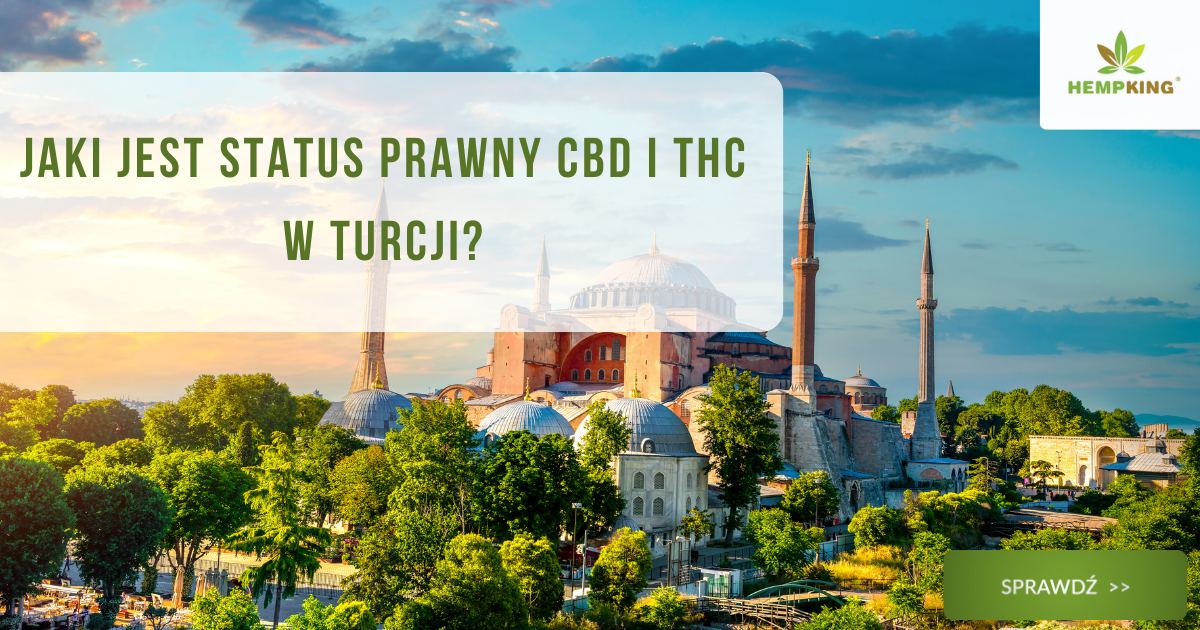 Jaki jest status prawny CBD i THC w Turcji (część europejska) - obrazek wyróżniający