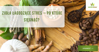 Zioła łagodzące stres - po które sięgnąć? - obrazek wyróżniając