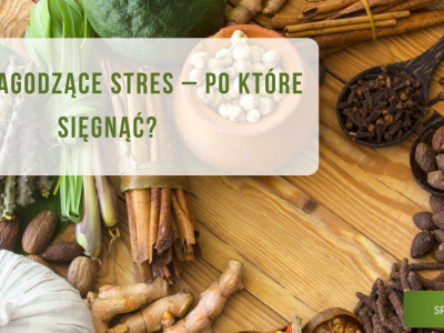 Zioła łagodzące stres - po które sięgnąć? - obrazek wyróżniając