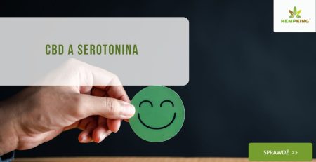 CBD a serotonina - obrazek wyróżniający