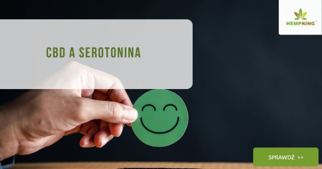 CBD a serotonina - obrazek wyróżniający