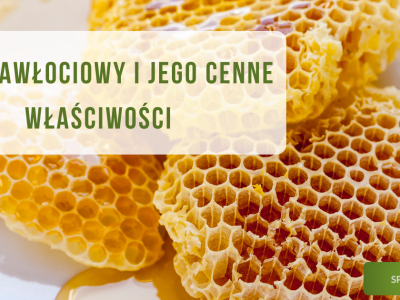 Miód nawłociowy i jego cenne właściwości - obrazek wyróżniający