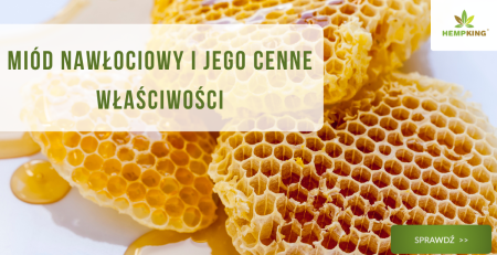 Miód nawłociowy i jego cenne właściwości - obrazek wyróżniający