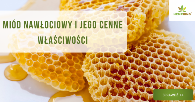 Miód nawłociowy i jego cenne właściwości - obrazek wyróżniający