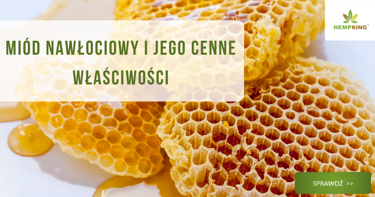 Miód nawłociowy i jego cenne właściwości - obrazek wyróżniający