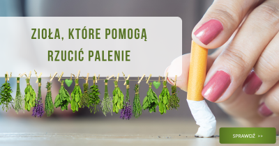 Zioła, które pomogą rzucić palenie - obrazek wyróżniające