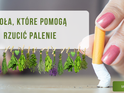 Zioła, które pomogą rzucić palenie - obrazek wyróżniające