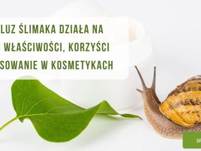 Jak śluz ślimaka działa na skórę Właściwości, korzyści i zastosowanie w kosmetykach - obrazek wyróżniający