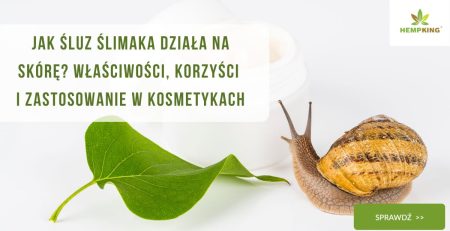 Jak śluz ślimaka działa na skórę Właściwości, korzyści i zastosowanie w kosmetykach - obrazek wyróżniający