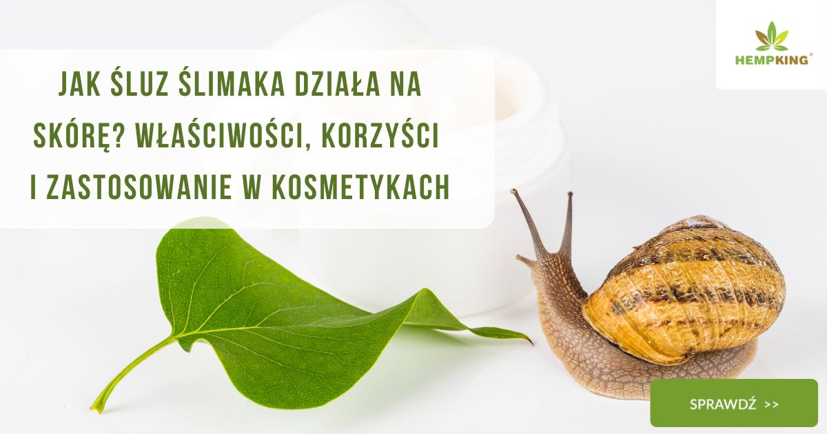 Jak śluz ślimaka działa na skórę Właściwości, korzyści i zastosowanie w kosmetykach - obrazek wyróżniający