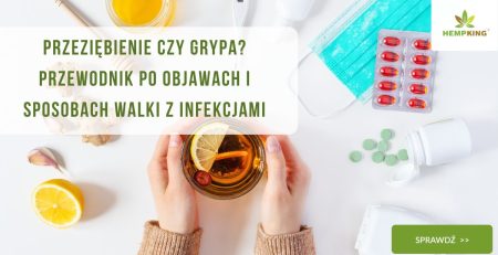 Przeziębienie czy grypa Przewodnik po objawach i sposobach walki z infekcjami - obrazek wyróżniający