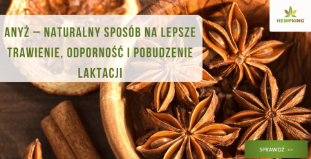 Anyż - naturalny sposób na lepsze trawienie - obrazek wyróżniający