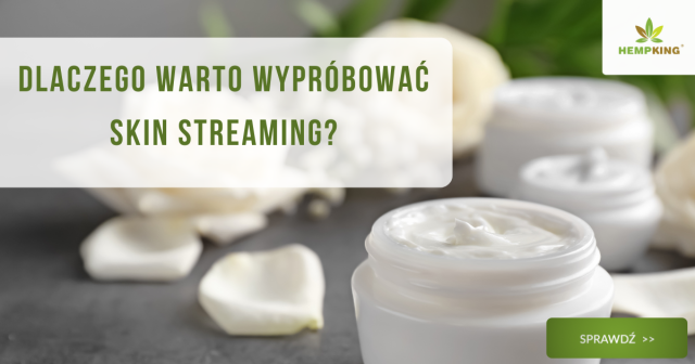 Dlaczego warto wypróbować skin streaming? - obrazek wyróżniający