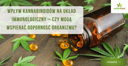 Wpływ kannabinoidów na układ immunologiczny - obrazek wyróżniający