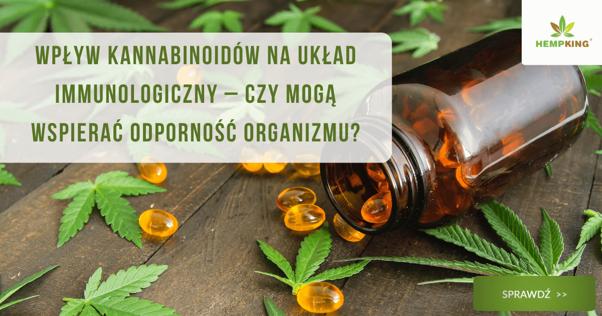 Wpływ kannabinoidów na układ immunologiczny - obrazek wyróżniający