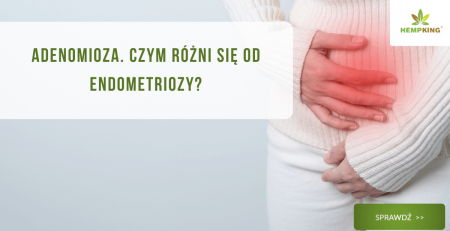 Adenomioza - czym się różni od endometriozy? - obrazek wyróżniający