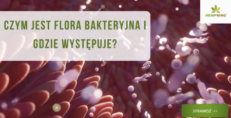 Czym jest flora bakteryjna i gdzie występuje? - obrazek wyróżniający